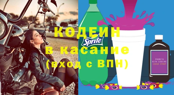 ГАЛЛЮЦИНОГЕННЫЕ ГРИБЫ Аркадак