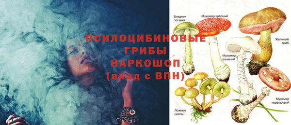 каннабис Арсеньев
